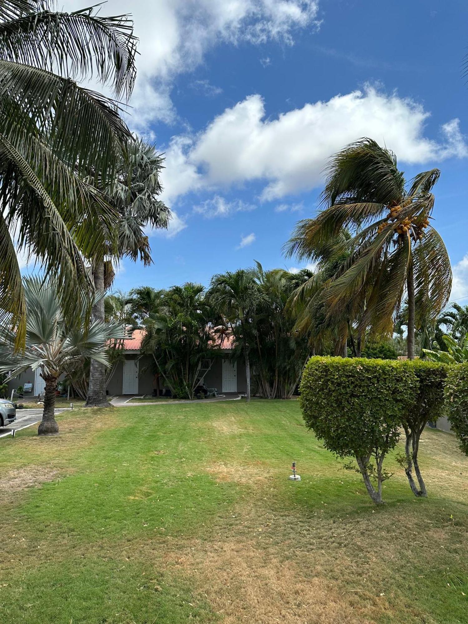 Windmill Apartments Curacao يلمستاد المظهر الخارجي الصورة