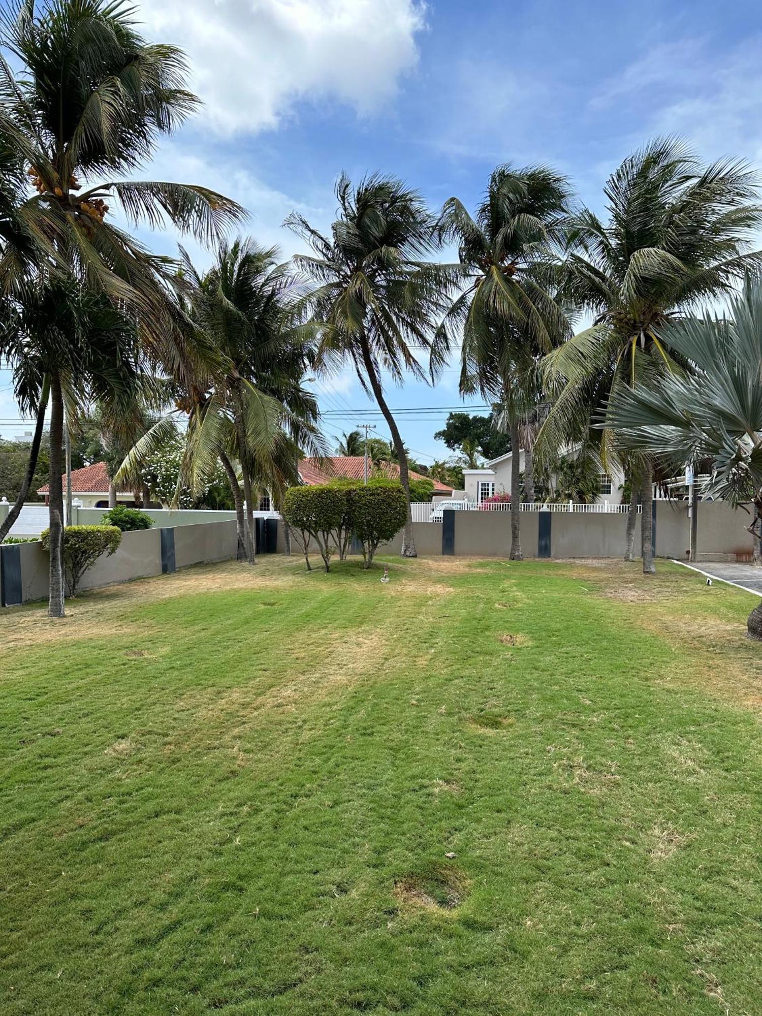 Windmill Apartments Curacao يلمستاد المظهر الخارجي الصورة